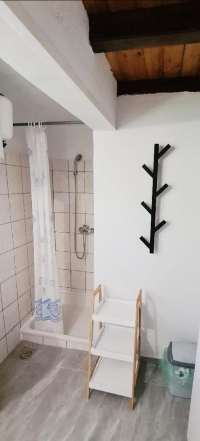Apartments Vila Zagorje Stinica Zewnętrze zdjęcie